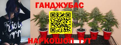 прущий лед Ярославль